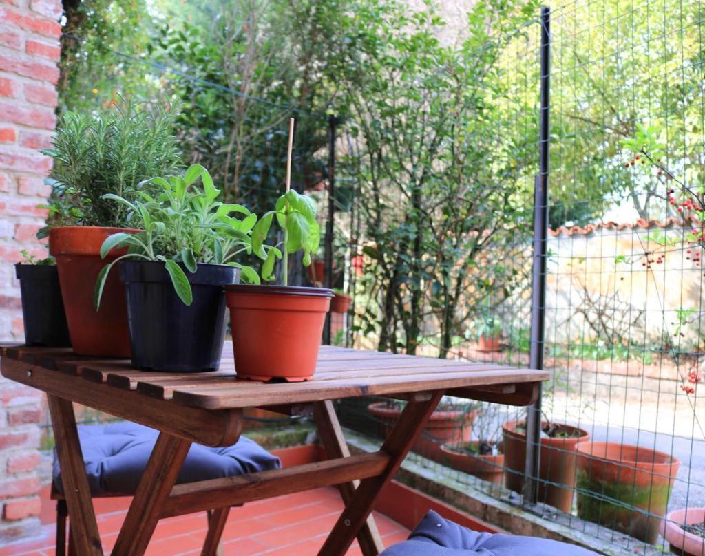 La Casa Dei Nonni Apartment Pino Torinese ภายนอก รูปภาพ